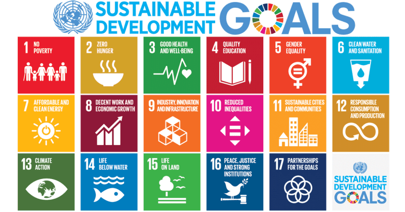 Image result for sustainable development goals 17